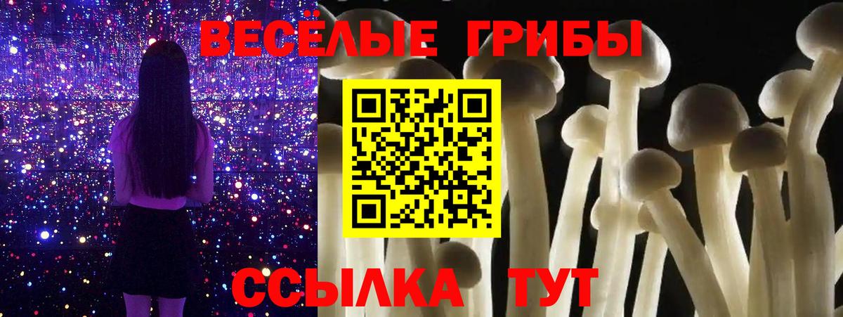 закладки  Вход с VPN  Псилоцибиновые грибы Cubensis  Бийск  Галлюциногенные грибы прущие грибы 